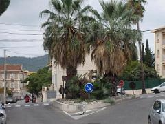 183 HYERES ET SES PALMIERS D14_000029